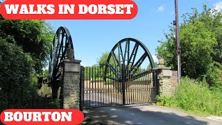 WALKS IN DORSET at BOURTON   (WITH SPECIAL GUEST - FIVER, THE WHIPPET) (4K)