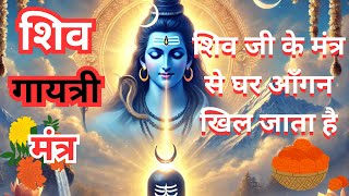 Shiv Gaytri Mantra | शिव मंत्र #shivshankar  #shivchalisha  #bhajan #arti #spiritual #swage #shiv