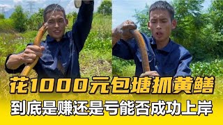 花1000元包荒廢的甲魚塘，到底是賺還是虧能否成功回本？