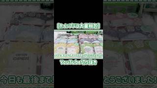 切り抜き動画【ホイップデコ大量梱包】#shorts