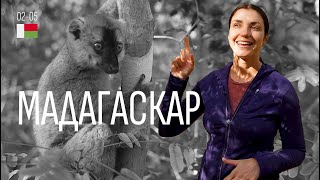 Пътуване в Мадагаскар | Част 02 | Катастрофа | Планината Цинги | Местна Храна | И Много Друго