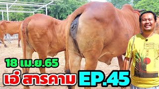 เอ๋ สารคาม EP.45 (18 เม.ย.65) แม่ลูก CY096 เด็ดๆเลยคลิปนี้ ใครชอบหนังหนาๆย้วยๆ คลิปนี้จัดให้เต็มอิ่ม