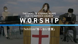 Tehillim「知らない言葉」