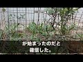 【スカッとする話】工場で働く60歳パートの私を見下す年下社員「給料泥棒！さっさと辞めろ！」私「…はい泣」→昔から不思議な力を持つ息子「その人、終わったね」私「え？」数カ月後…