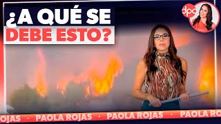 ¿Por qué unas casas se quemaron y otras no por los incendios en Los Ángeles, California? | DPC