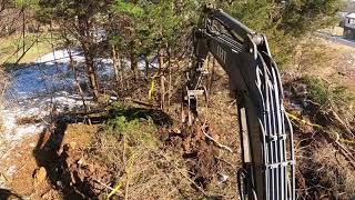 Clearing some Brush with the IHI 30V4 Mini Excavator