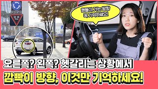 방향지시등 헷갈릴 땐? 비상등 의미는? 운전생활에 도움되는 깜빡이 제대로 켜는 법, 알려드립니다💜