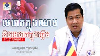 មេរោគក្នុងឈាមនិងមេរោគក្នុងថ្លើមខុសគ្នាដូចម្តេច?