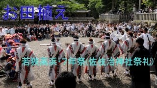 お田植え：若狭高浜・７年祭(佐伎治神社祭礼)