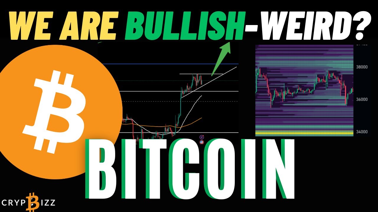 Bitcoin BTC - We Are Bullish - Weird? Bitcoin BTC Price News - Bitcoin ...