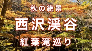 【紅葉登山】錦秋の西沢渓谷｜カラフルな紅葉とエメラルドの滝壺を巡る絶景ハイキング【日本の滝百選・七ツ釜五段の滝へ】