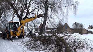 Зрізання дерев. Дивитися до кінця