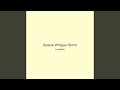 Serene Whisper Storm