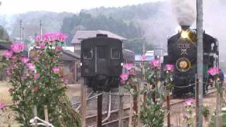 真岡鉄道ＳＬ 秋日霜降の頃 2009-10-24