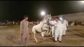 Horse Dance | Ghora Dance | Wah Ghora Wah Sawar | Horse Dance in Mela | Punjab Village | Sahiwal