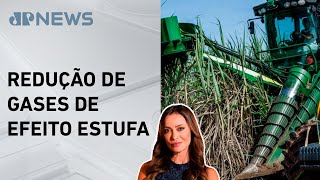 Cana-de-açúcar pode ser aliada contra mudanças climáticas; Patrícia Costa analisa