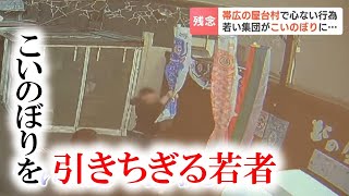 「こいのぼり」を引きちぎる心ない行為、防カメに一部始終…警察は器物損壊事件として捜査へ　帯広「北の屋台」