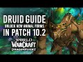 How To Obtain Every New DRUID FORM In Patch 10.2 Of Dragonflight!