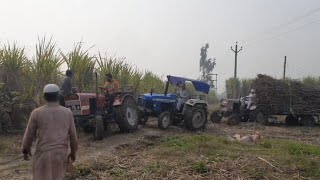 Eicher 241 + Eicher 242 + Newholland 3230  || 3 ट्रैक्टरों का जोर देखो गीले खेत में || Day 1