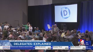 Utah's first Super Tuesday - Democratic Delegates: Explained