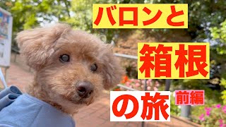 [バロンと箱根の旅]前編　15歳の愛犬との初めての旅行です！