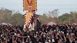 Mangalamkunnu Saran Ayyappan mass entry @ Chalissery Pooram 2022