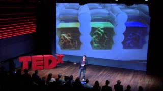 Smaller is better | Gustavo Andres Higuera | TEDxRSM