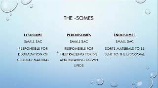 CWI TR Cell Biol C15 Topic 1   Fall 2017