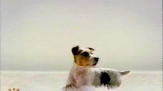 2002 - Cingular Offers Rollover Minutes