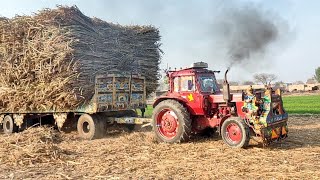 Belarus Tractor Fail In Mud With Heavy Load Trailer | Sugarcane Load Trailer Fail On Stuck In Mud