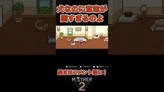 真顔なのに意志が固すぎる犬＃shorts　#mother2