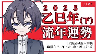 2025乙巳年流年詳細運勢分析（下）｜紫微斗數12張命盤全解析｜紫微在巳｜紫微在午｜紫微在未｜紫微在申｜紫微在酉｜紫微在戌｜紫微在亥