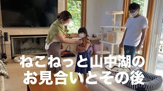 【3】里親さんとのお見合いで幸せを掴む子は？譲渡後のご報告☆花ちゃんべビーズはモリモリ♪