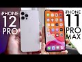 iPhone 12 Pro Vs iPhone 11 Pro Max! (Comparison) (Review)