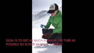 Snow Algae Sampling Protocol