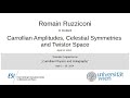 Romain Ruzziconi - Carrollian Amplitudes, Celestial Symmetries and Twistor Space