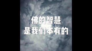 201803 佛的智慧是我们本有的23760