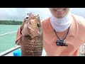 my first boat fishing trip singapore mangrove jacks u0026 sweetlips vlog