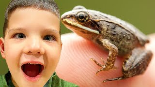 Caleb PLAYS OUTSIDE and Finds a BABY FROG!  Bugs Pretend Play!