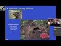 Introduction to Animal Behavior