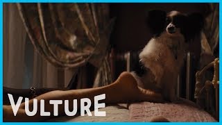 Animals in Movies are Scandalized by PDA