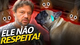 PERDI O CONTROLE DO PITUCO! | A CASA DOS BICHOS