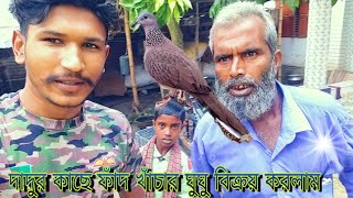 জীবননগর চুয়াডাঙ্গা শিকারি ঘুঘু বিক্রয় করলাম/ফাঁদ খাঁচার তিলা ঘুঘু পাখি বিক্রয়/ফাঁদ খাঁচার ঘুঘু দাম?