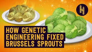 How Science Made You Finally Like Brussels Sprouts