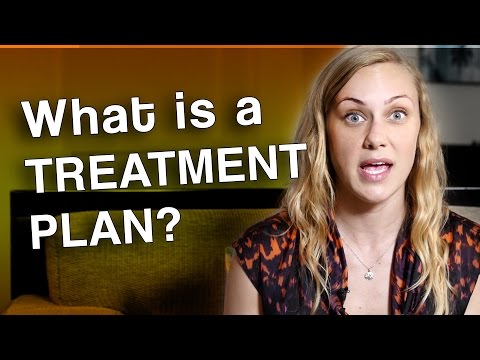 What does a treatment plan include?