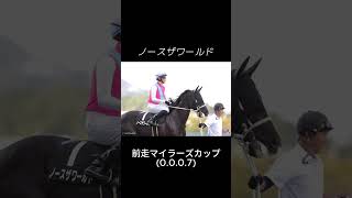 エプソムカップ消去推奨馬-Part2