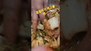 김치 그까이꺼~손을 푸욱 넣어다 빼면 그게 손맛 낚시도 김치도 손맛인게야~!! #김치주제가 #독도지킴이 #정광태 #shorts