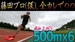 【陸上部の練習会!!500mx6】藤田プロ(仮)、全カレで○○