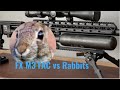FX IMPACT M3 SNIPER RABBIT HUNTING with the Oneleaf  NV100 - airgun hunting