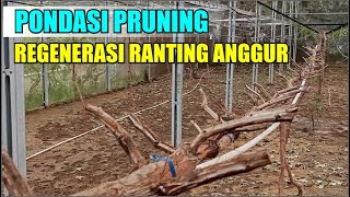 PONDASI PRUNING REGENERASI RANTING ANGGUR